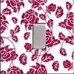 Switch Plate