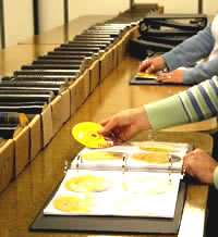 Insertion of one of the one hundred CDs in the display folder.